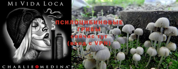 a pvp Балахна